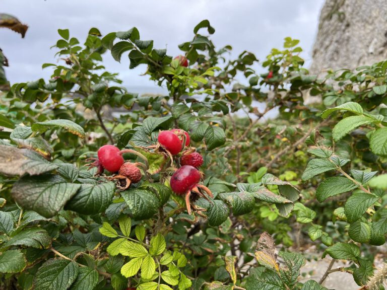 20230911 115302 1530