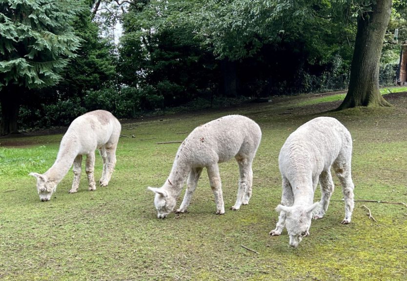 20230912 130655 1783