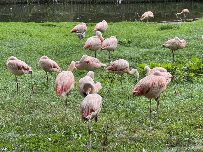 20230912 131043 1788