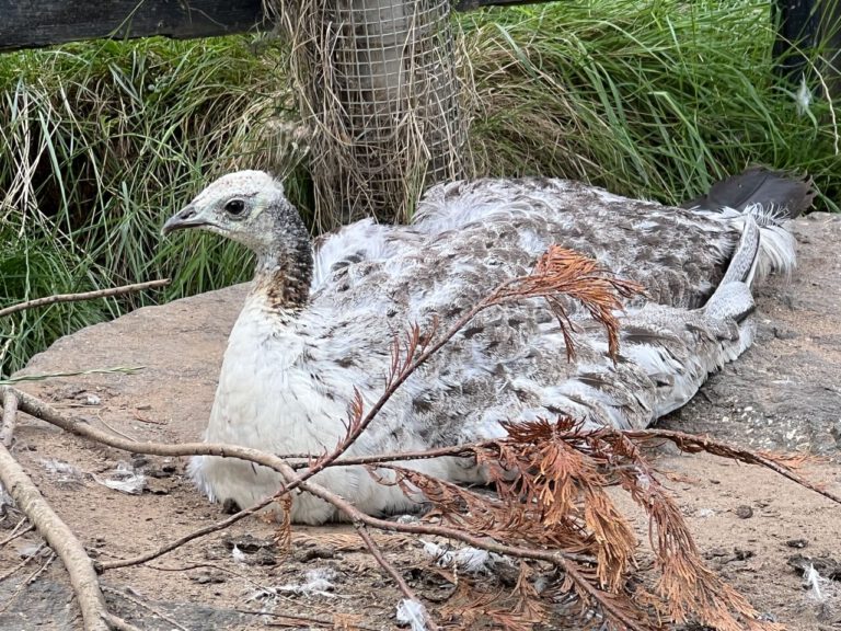 20230912 135001 1820