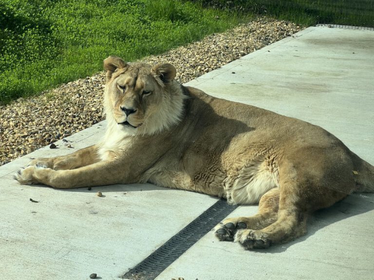 20230912 143607 1840