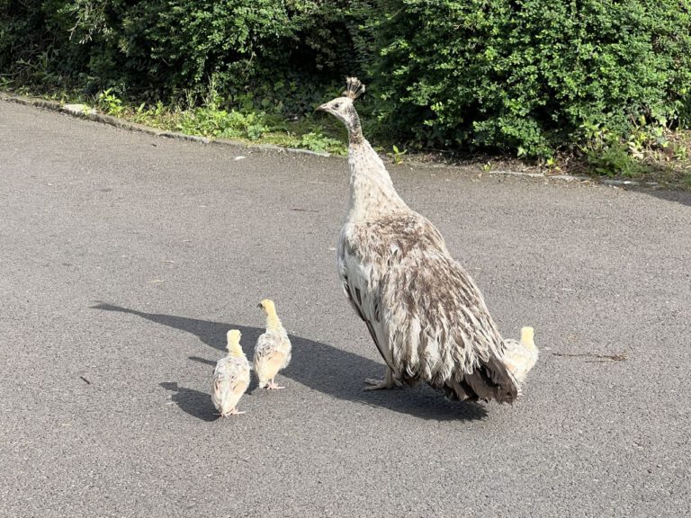 20230912 145729 1852