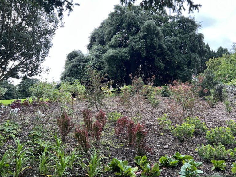 20230913 111141 1890