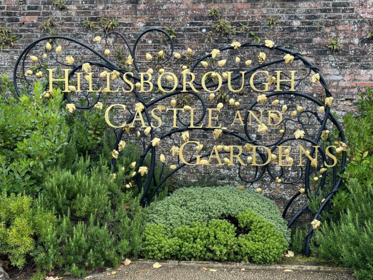 20230913 124806 1921