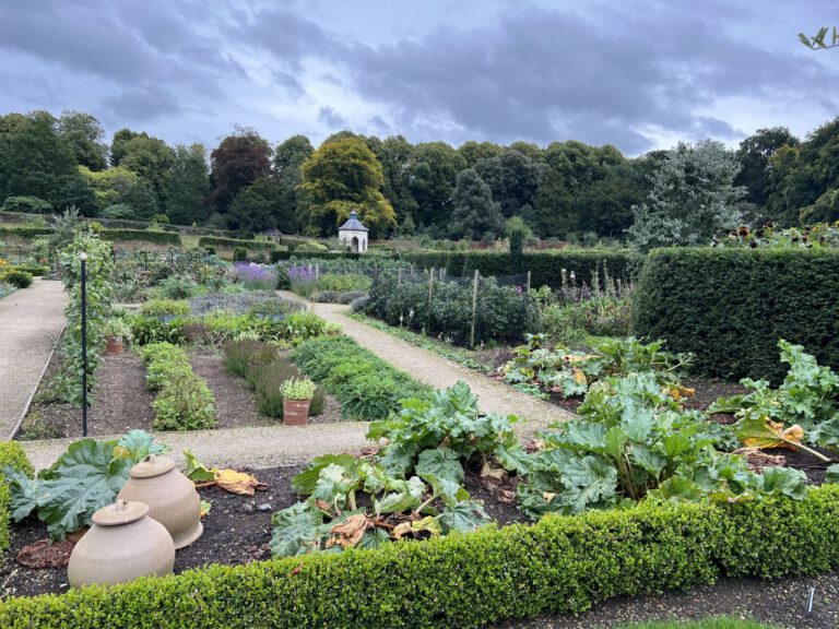 20230913 125316 1925