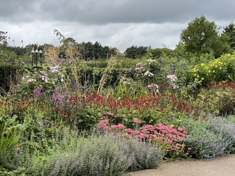 20230913 125634 1934