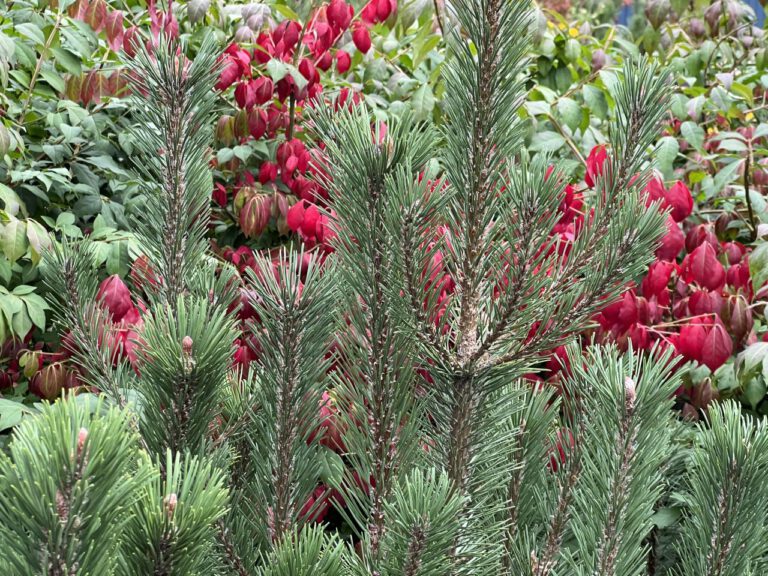 20230913 133348 1958