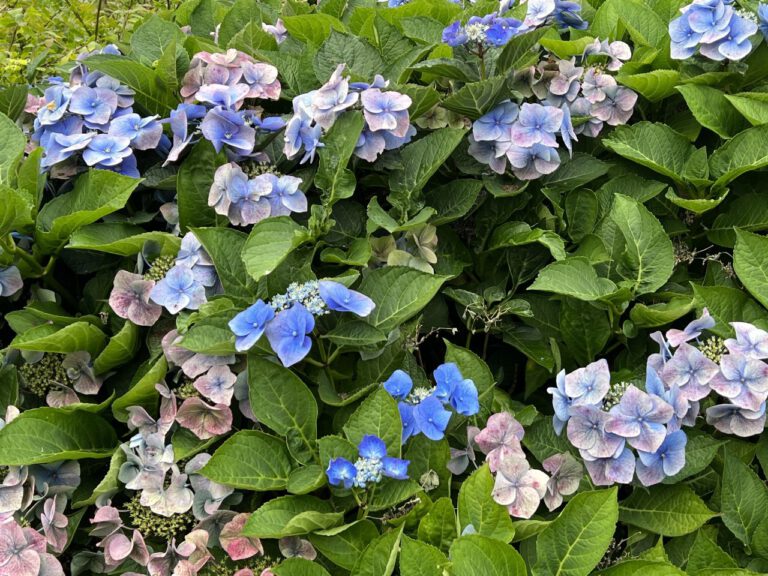 20230913 133408 1959