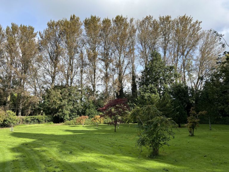 20230914 113920 2049