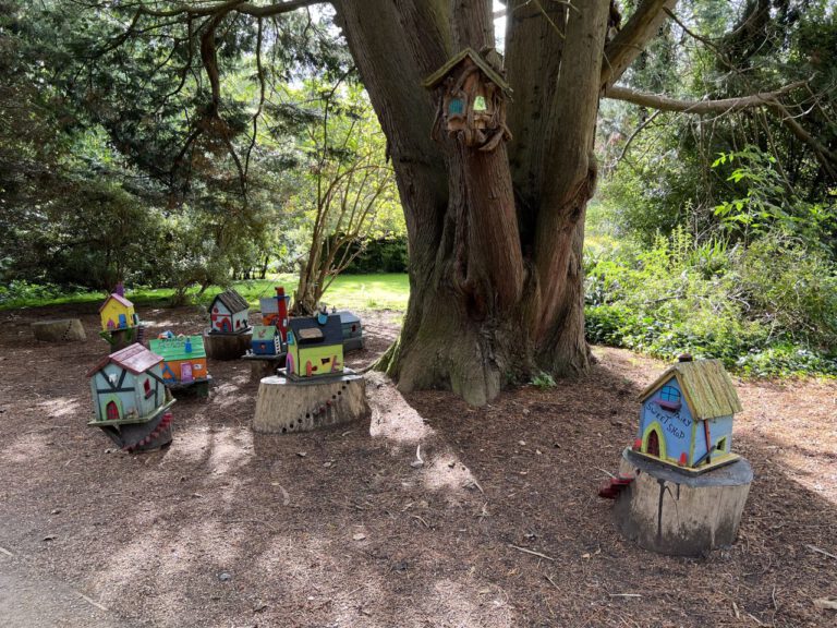 20230914 114656 2053