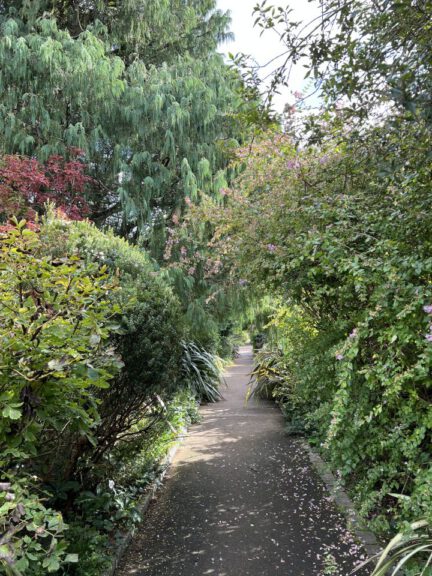 20230914 120122 2066