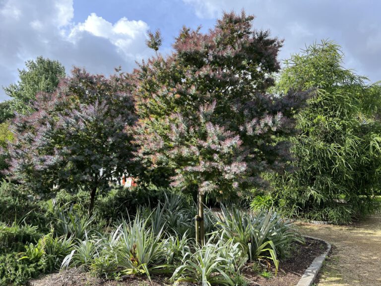 20230914 120335 2068