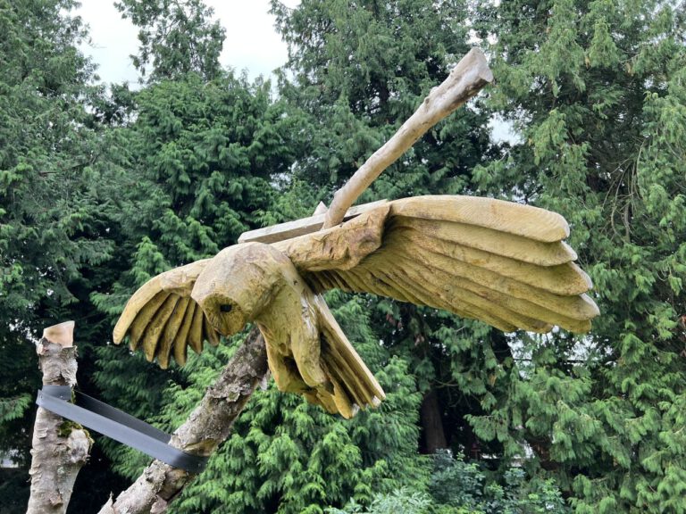 20230914 131958 2084