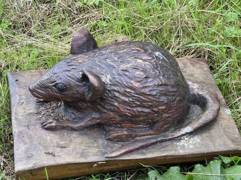 20230914 132003 2085