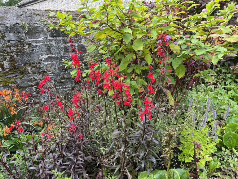 20230914 132126 2088