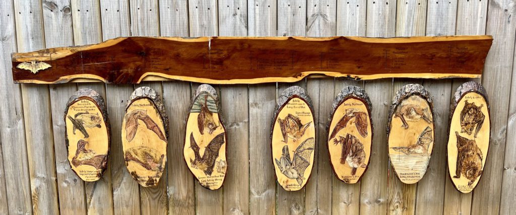 20230914 132622 2092