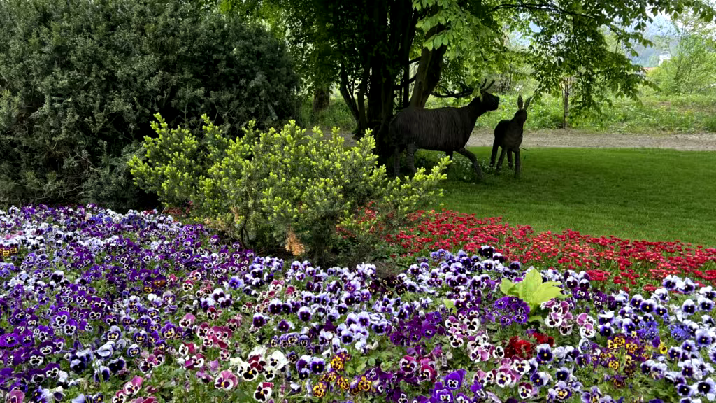 20240501 140918 3216