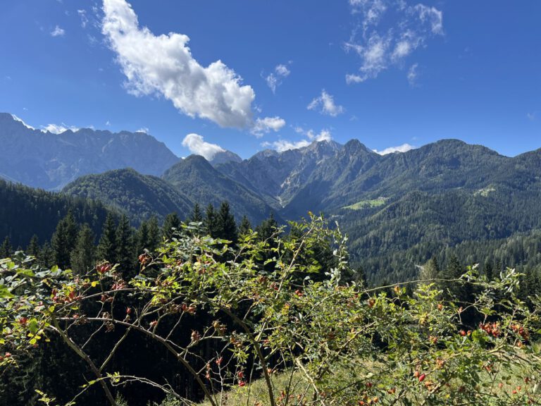 20240907 113549 4814