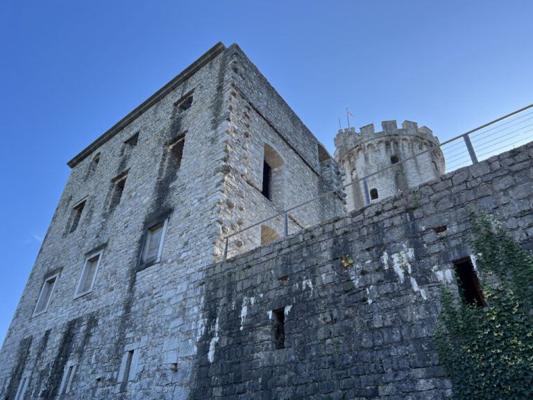 20241031 105945 0136