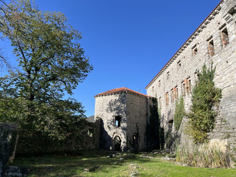 20241031 110357 0145