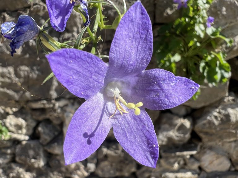 20241031 112712 0173