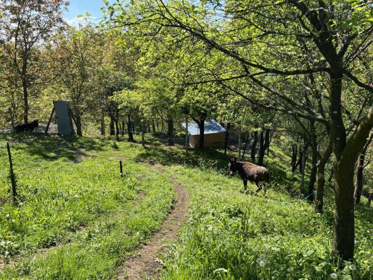 20250429 154025 0634