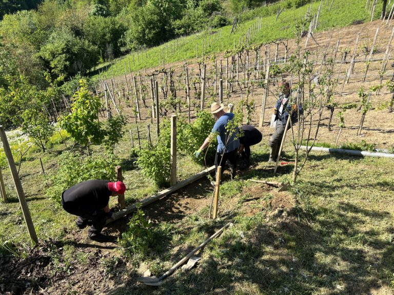 20250429 162315 0638