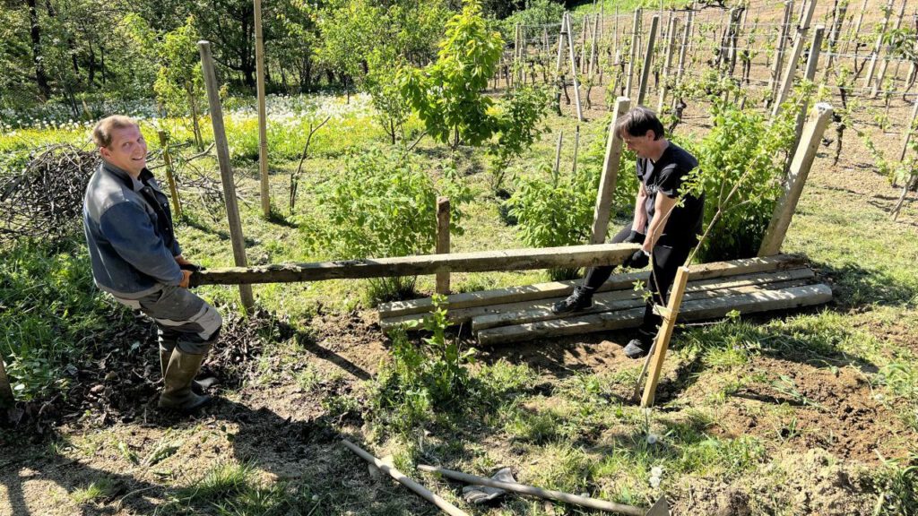 20250429 163238 0647