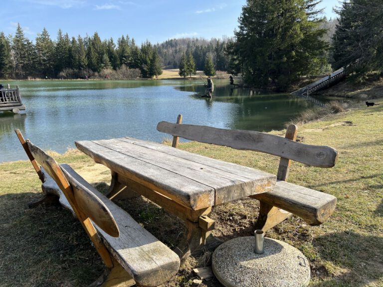 20250309 150611 0173