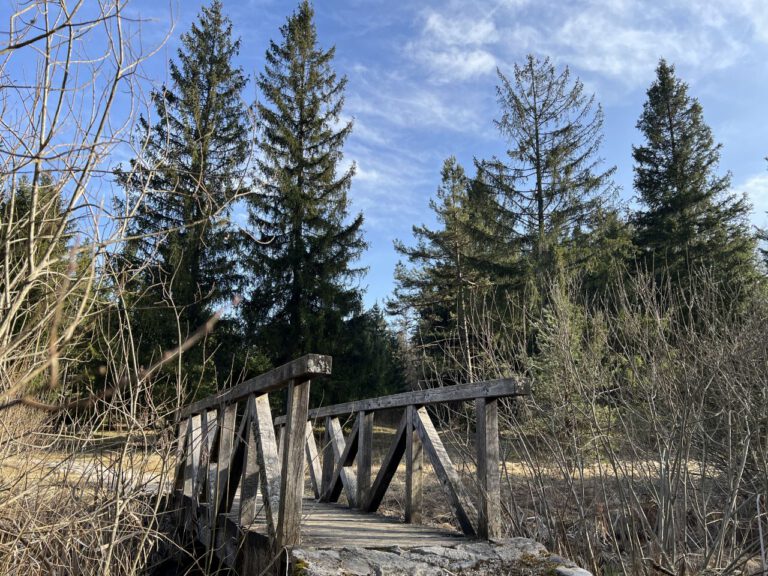 20250309 151641 0181