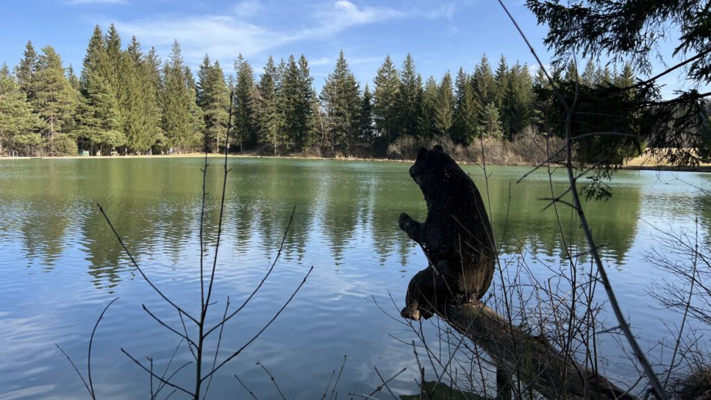 20250309 152016 0186