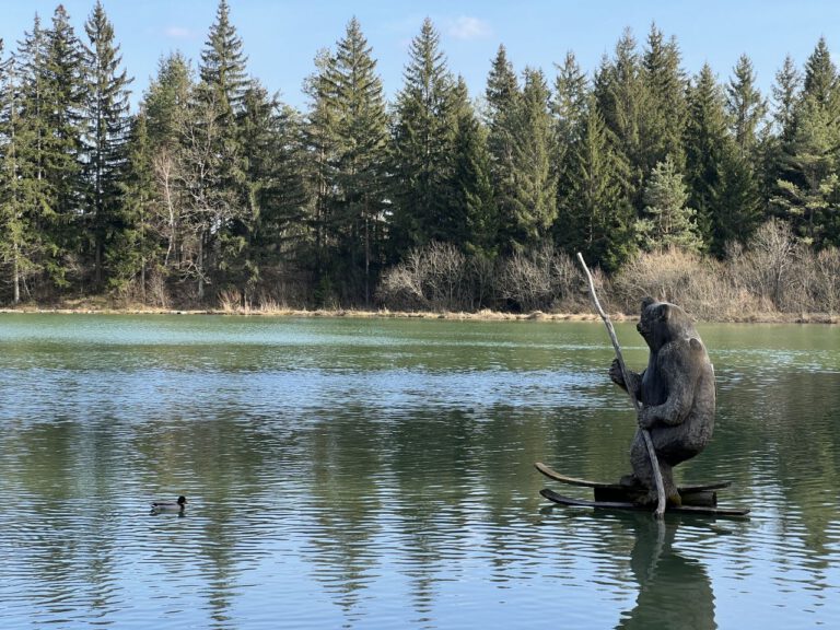 20250309 152226 0189