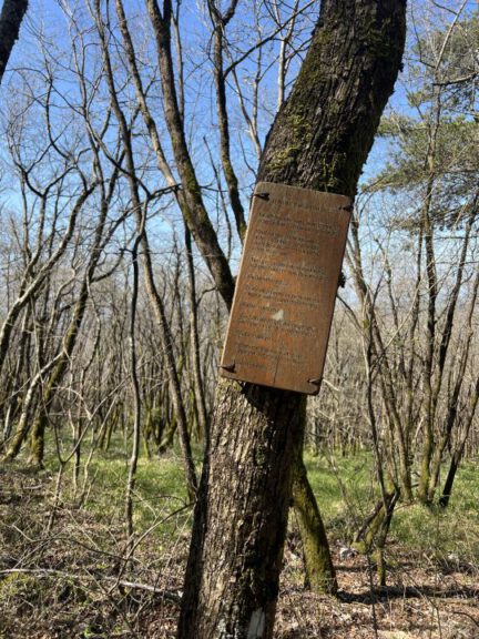 20250404 114751 0312