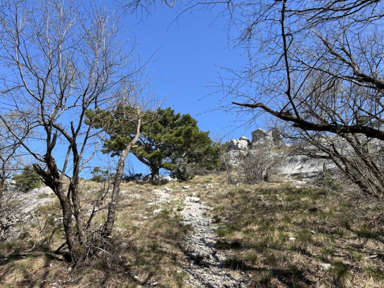 20250404 115324 0318