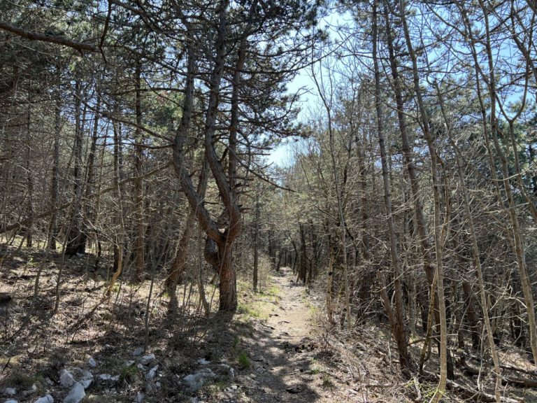 20250404 120237 0321