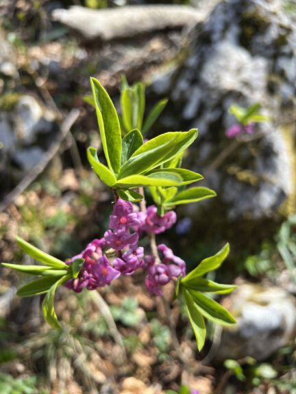 20250404 122049 0325