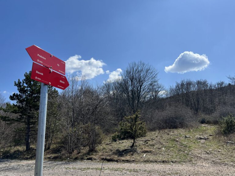 20250404 122936 0326