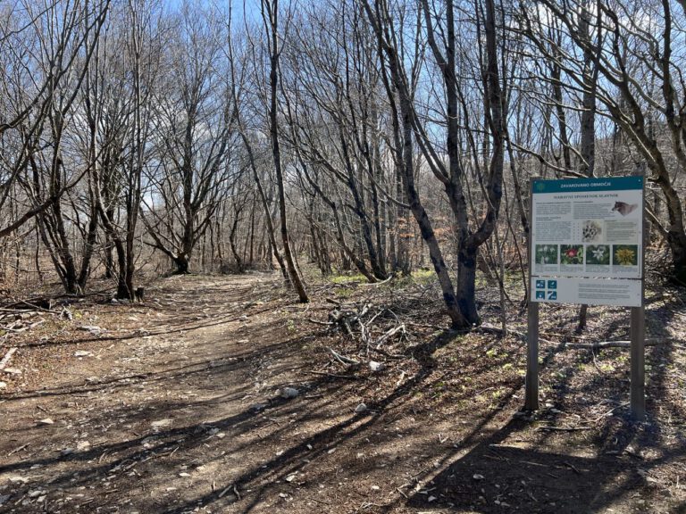 20250404 123516 0327