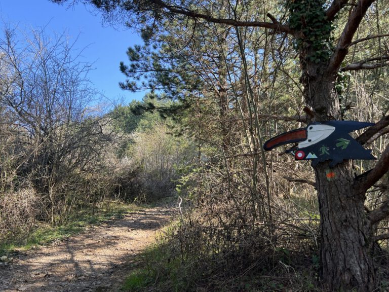 20250411 101428 0373