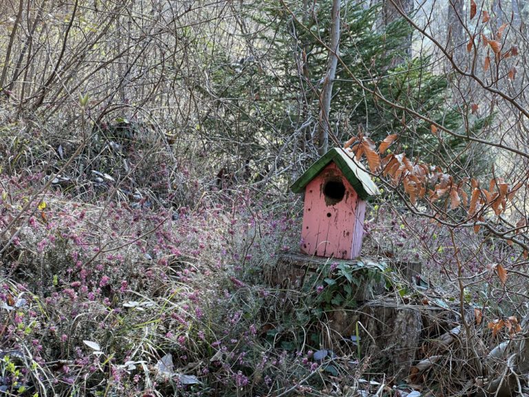 20250411 103001 0374