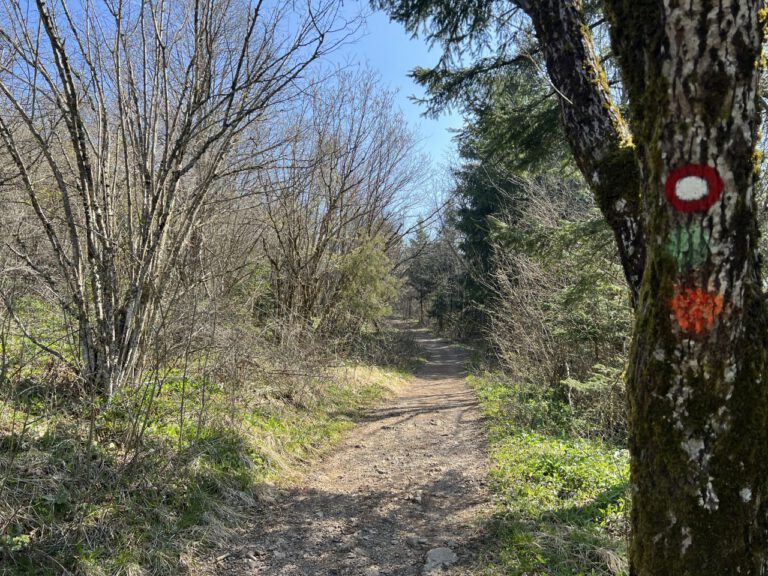 20250411 105426 0378