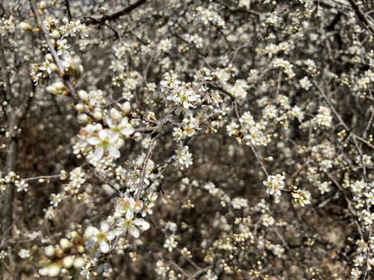 20250411 105728 0382