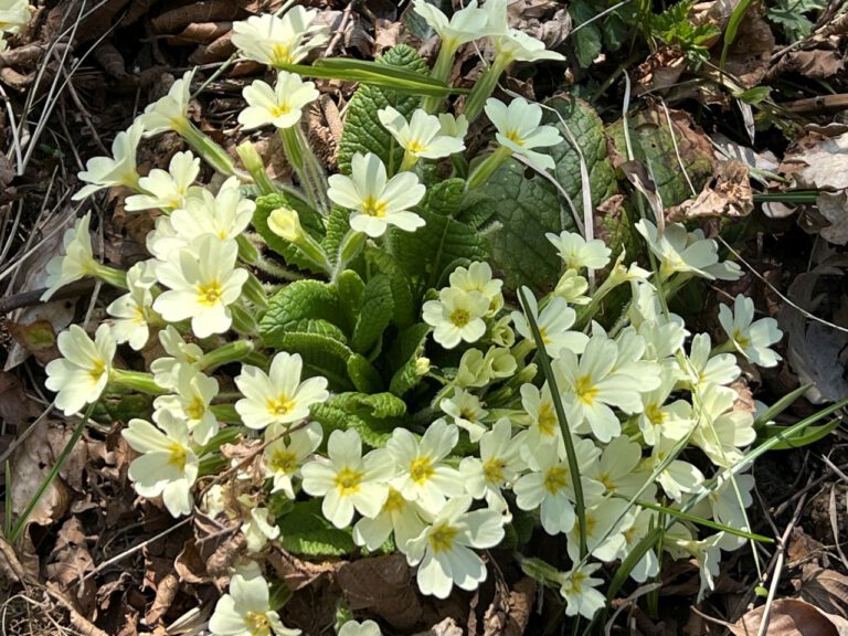 20250411 105912 0384