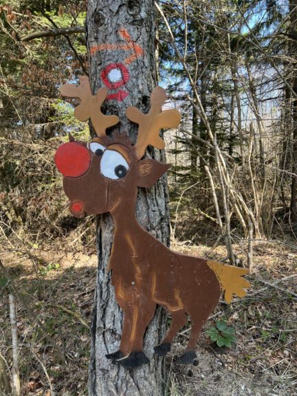 20250411 110150 0386