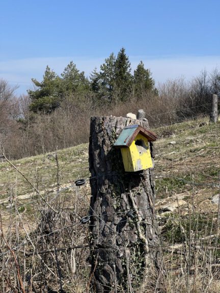 20250411 112945 0391