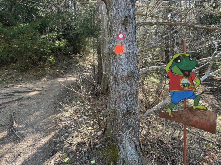 20250411 113220 0392