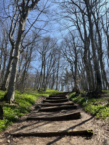 20250411 114952 0400