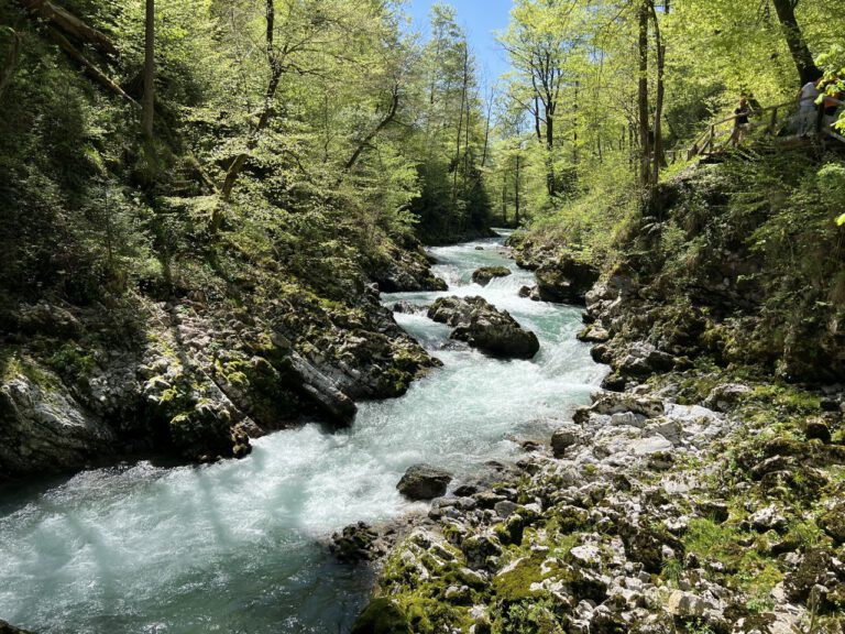 20250428 125149 0485