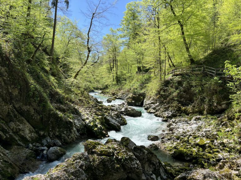 20250428 125224 0487