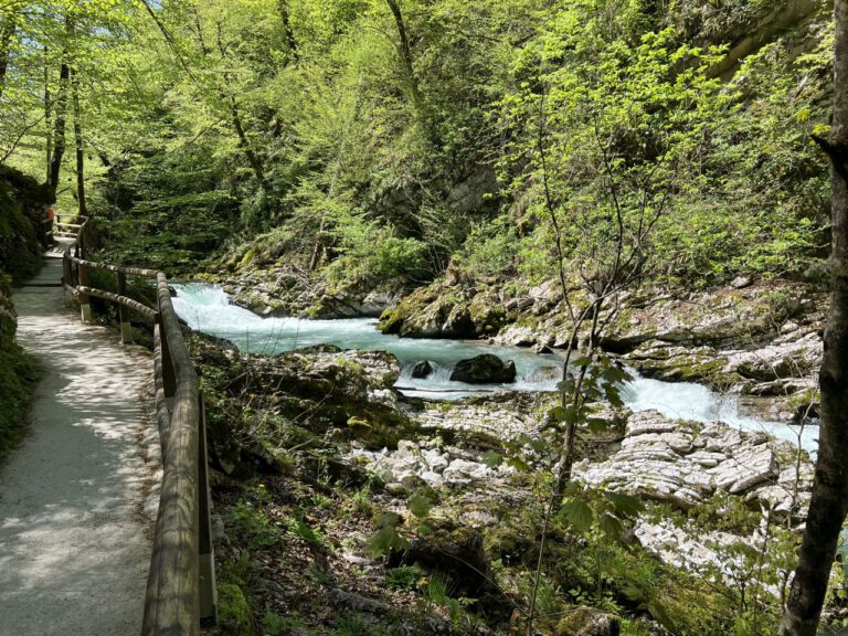 20250428 125606 0495